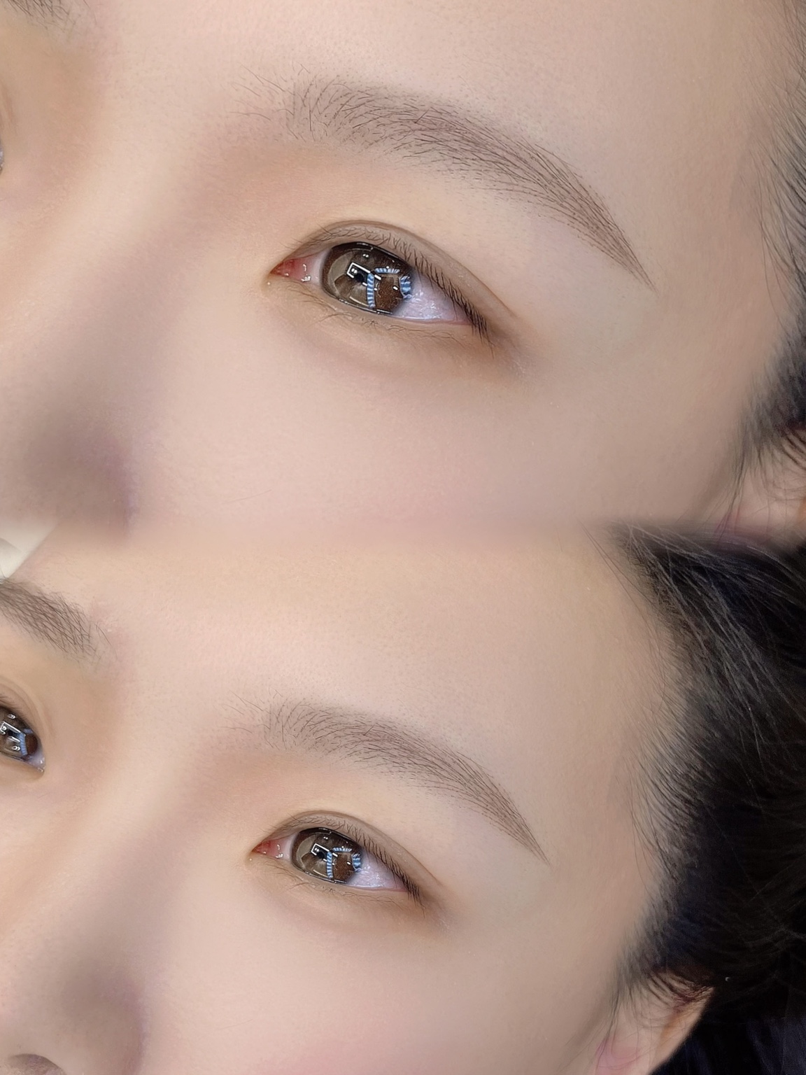 Brow study · Shape and direction